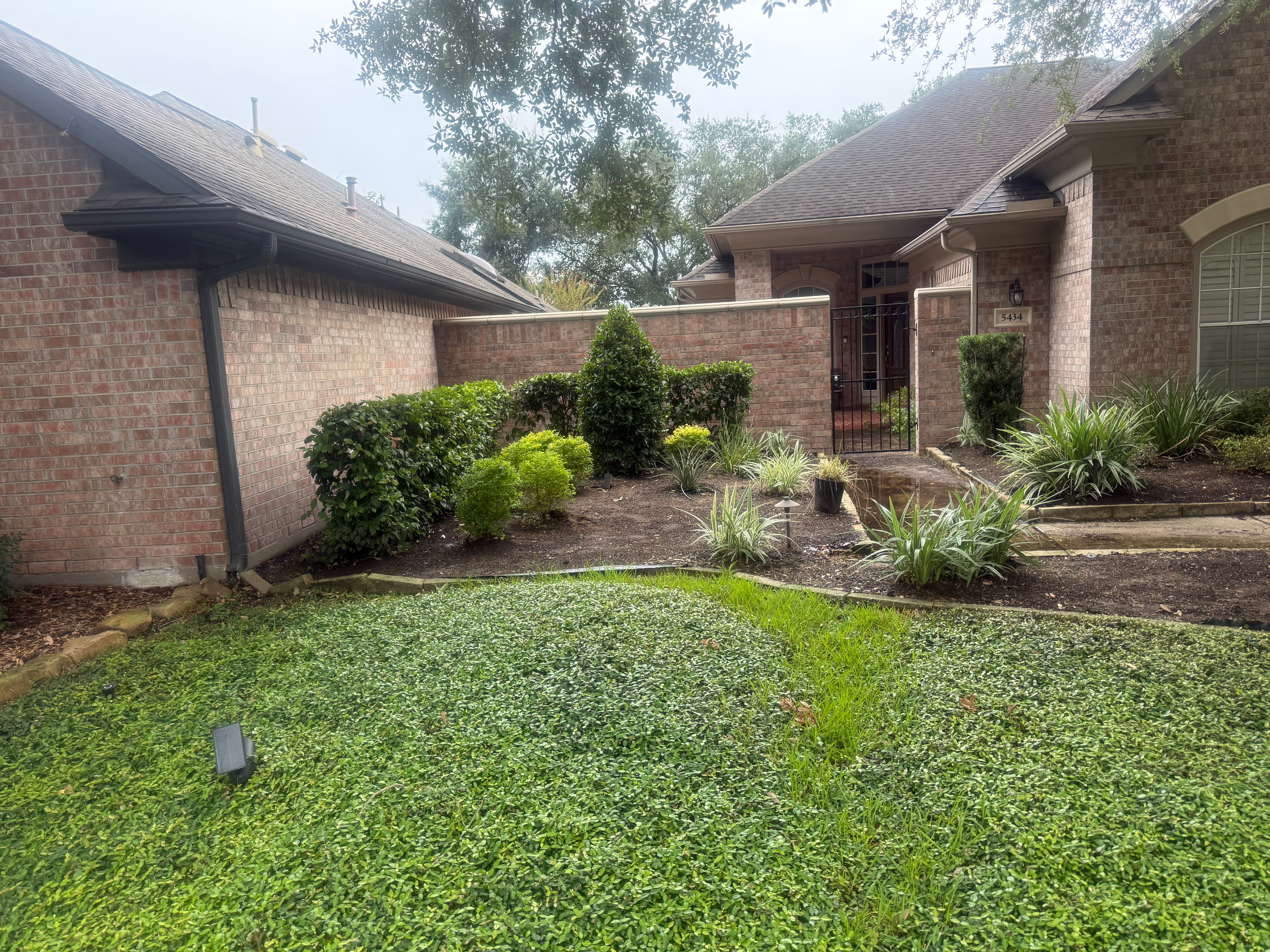 HedgeTrimming Maintenance