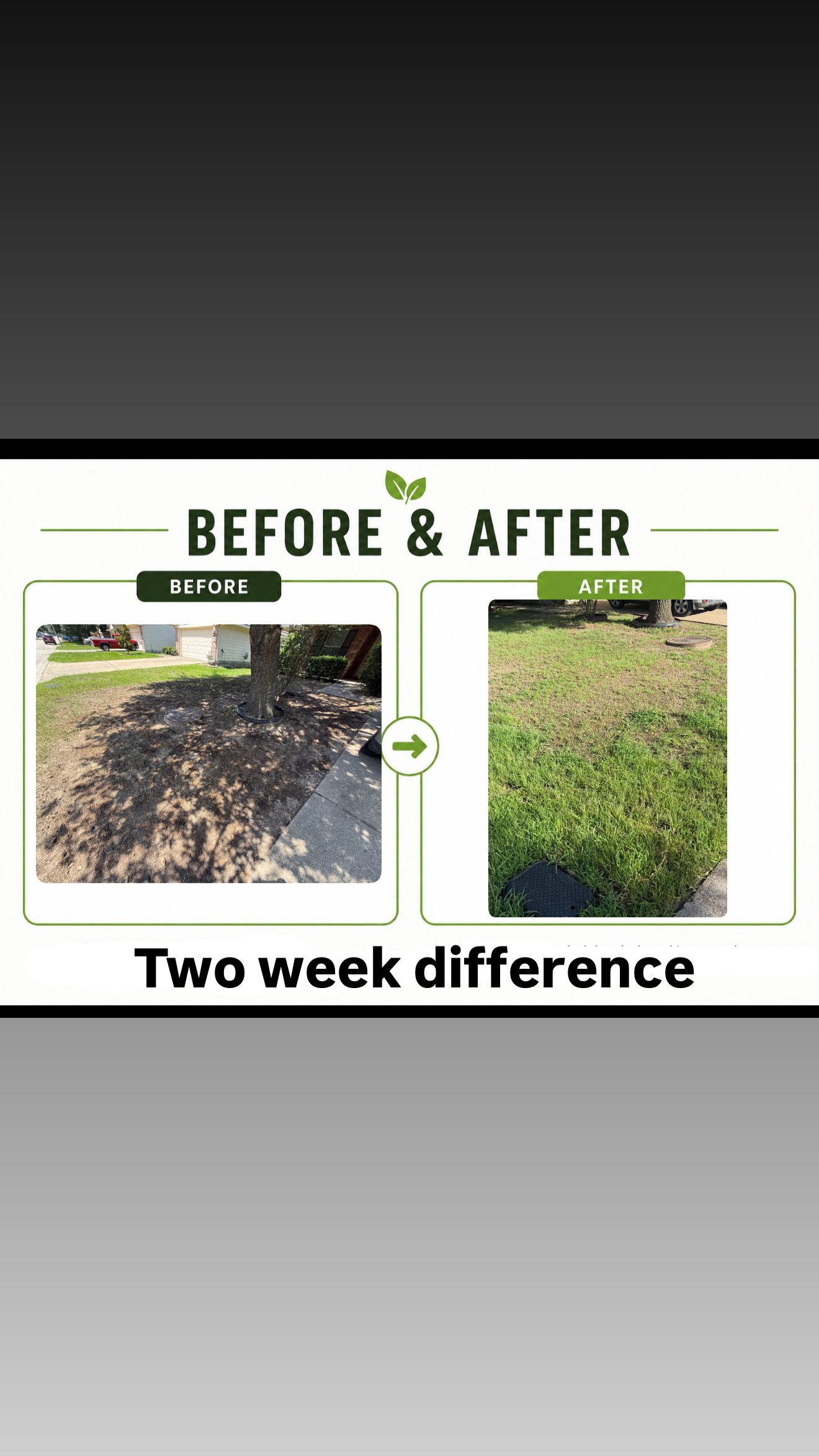 🌱 Yard Restoration & Overseeding Transformation