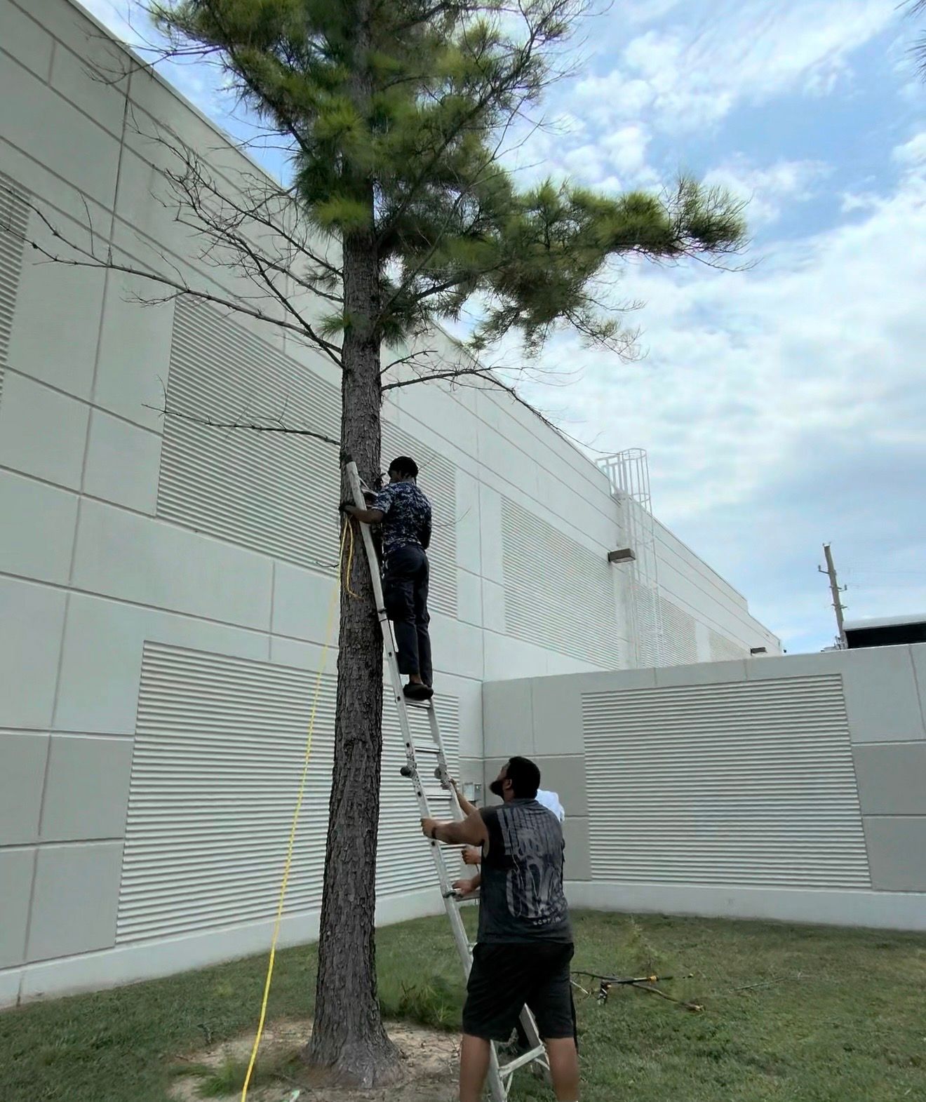 🍃 Transforming Outdoor Spaces With Purpose