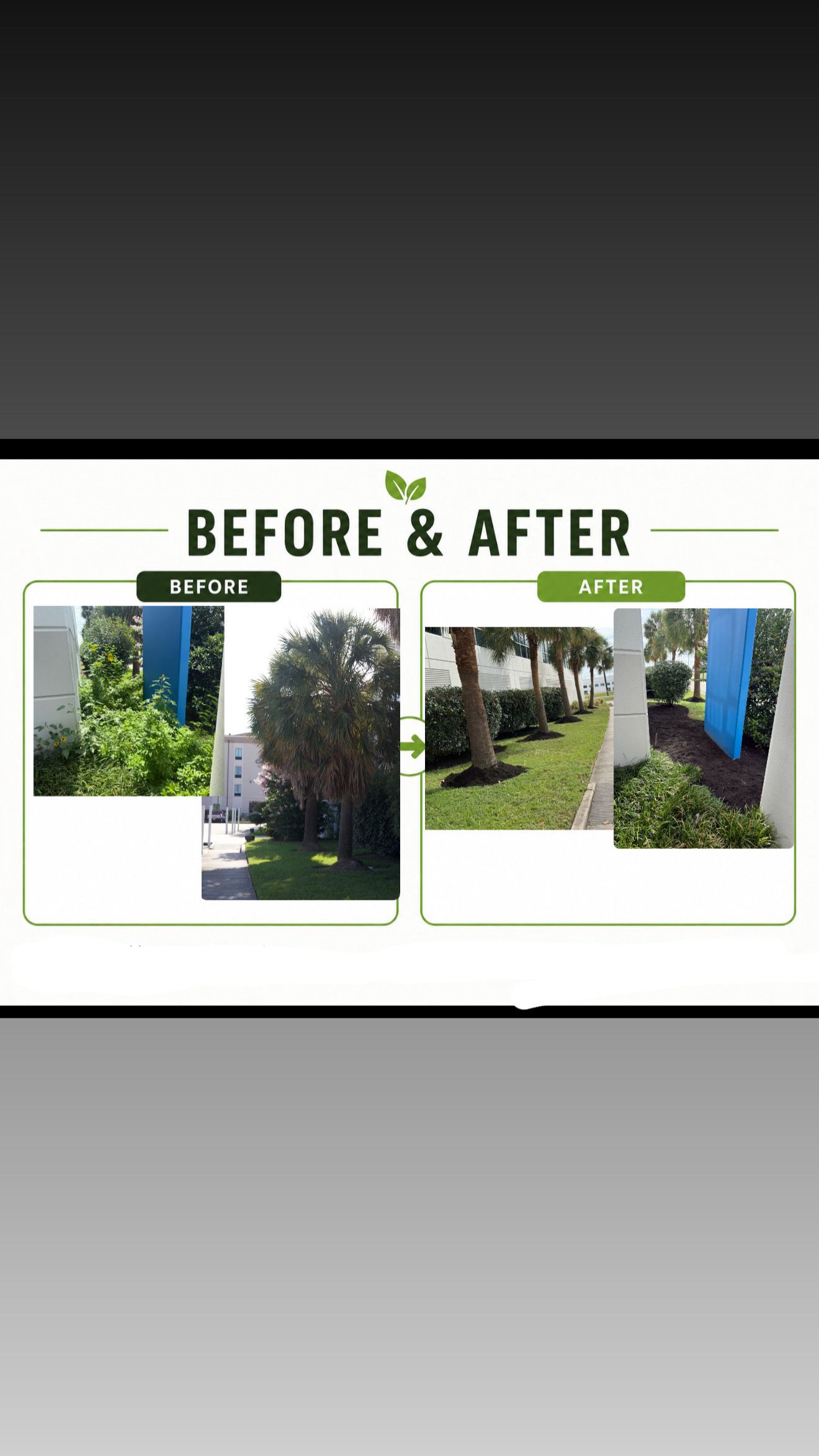     Overgrown? Not Anymore.